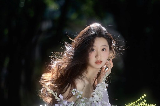 岳晓琳偷税被查！曾与宁静、龚琳娜、柳岩、沙溢等多位明星合作3年仅纳税1100元